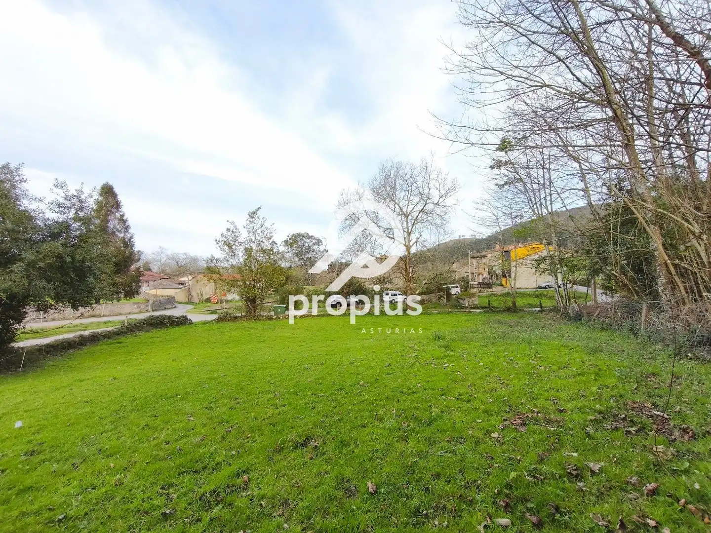 Terreno rustico in vendita a SAN ROQUE DEL ACEBAL, imagen 13