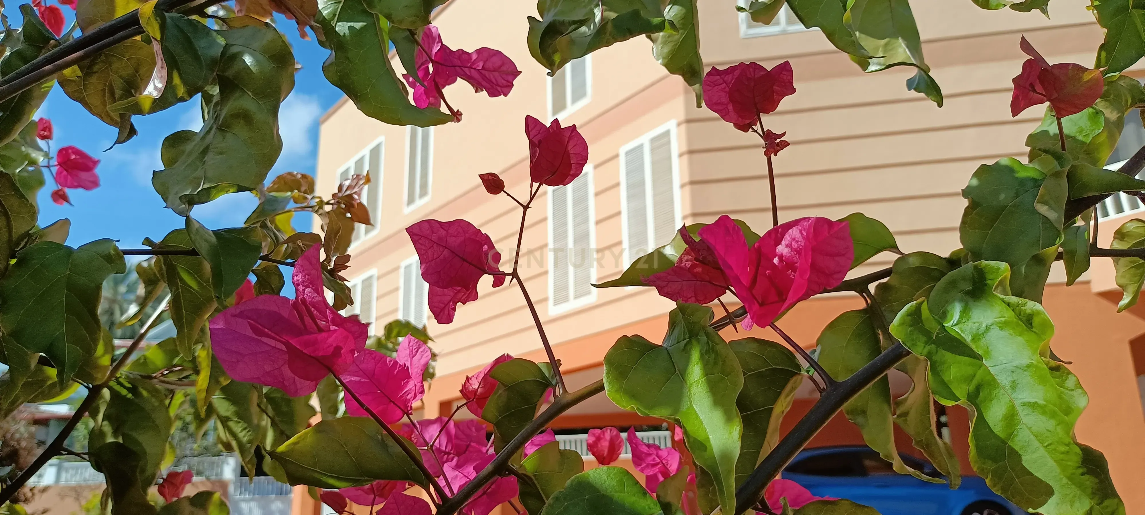Vista exterior de Casa o xalet en venda en  Santa Cruz de Tenerife Capital amb Jardí privat, Traster i Balcó