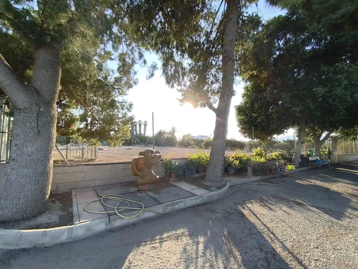 Vista exterior de Casa o chalet en venta en Elche / Elx con Jardín privado