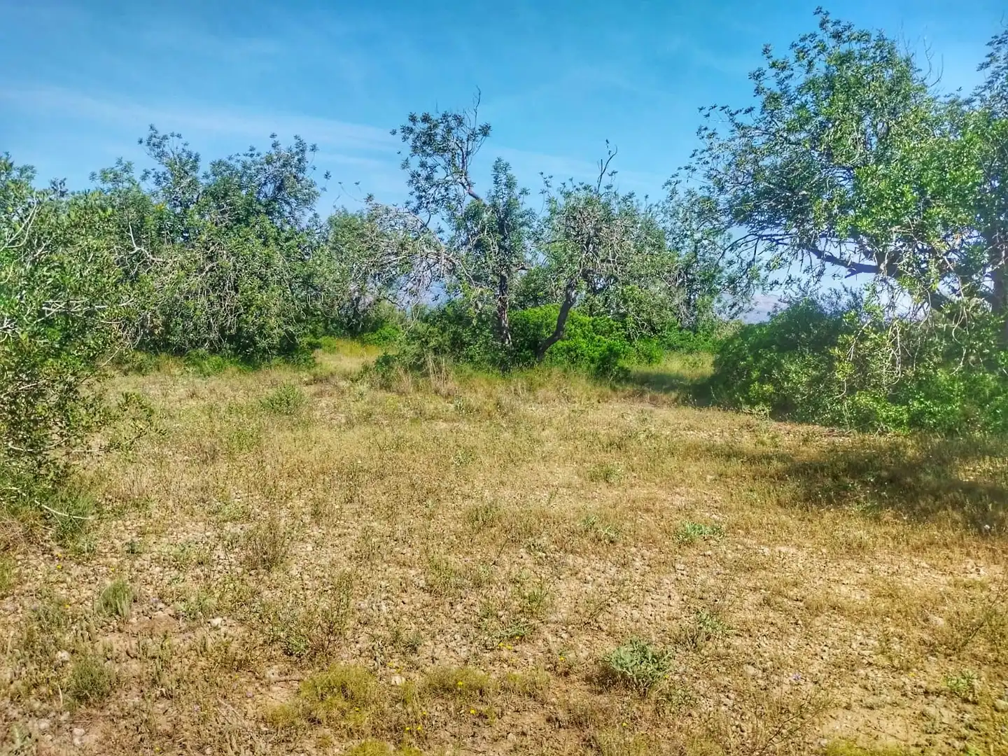 Terrain rustique à vendre à Roquetes, imagen 15