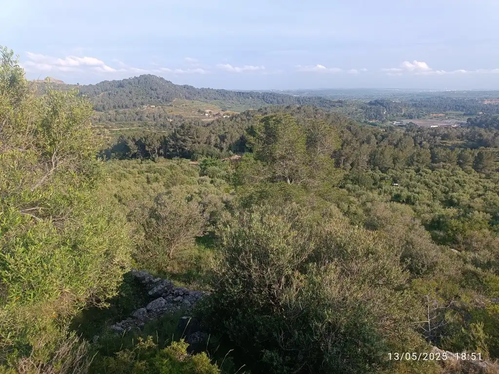 Terreno rustico in vendita a Carrer Major 1, imagen 5