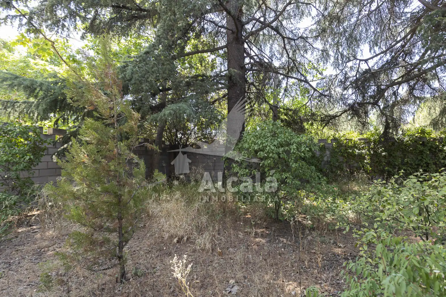 Haus zum Verkauf in Fuencarral - El Pardo, imagen 50