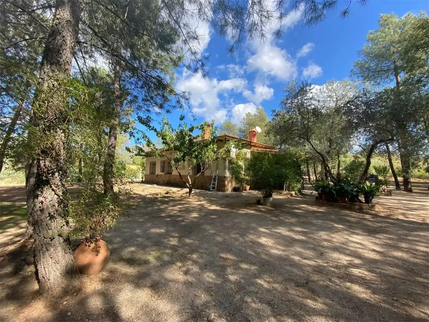 Garden of Land for sale in Alía