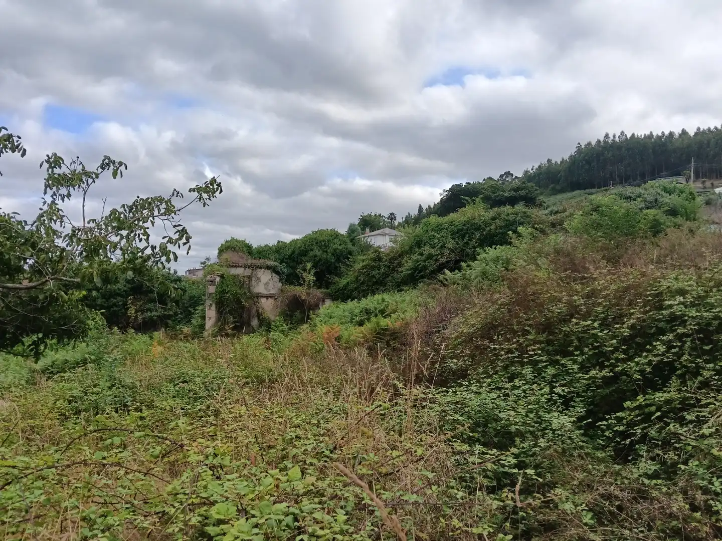 Maison avec jardin à vendre à Lugar Collantres 45, imagen 14