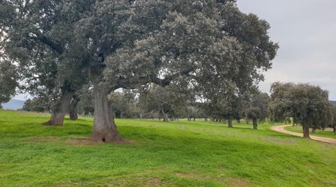 Foto 4 de Terreno en venta en Castilblanco, Badajoz