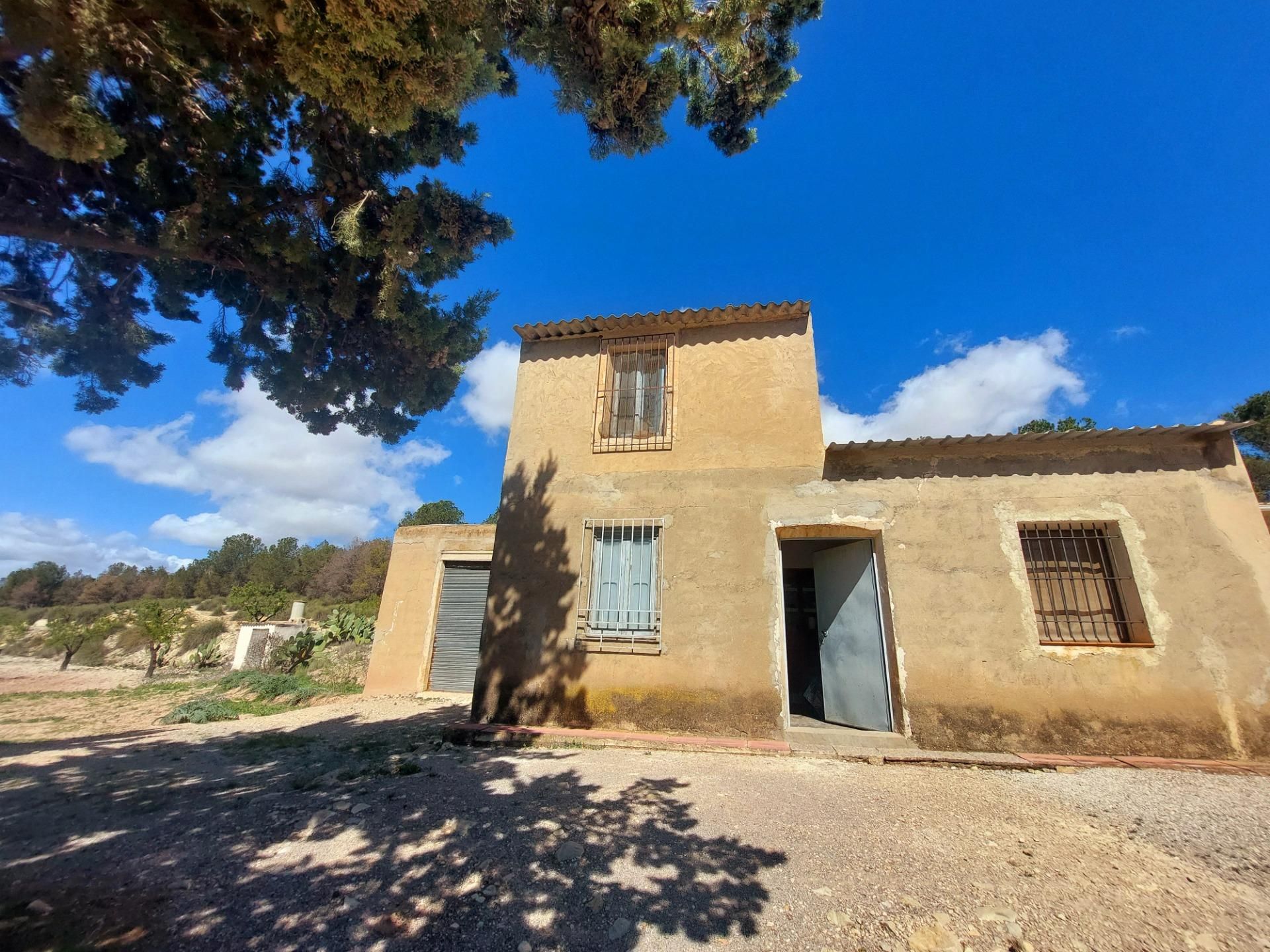 Vista exterior de Finca rústica en venda en Mula