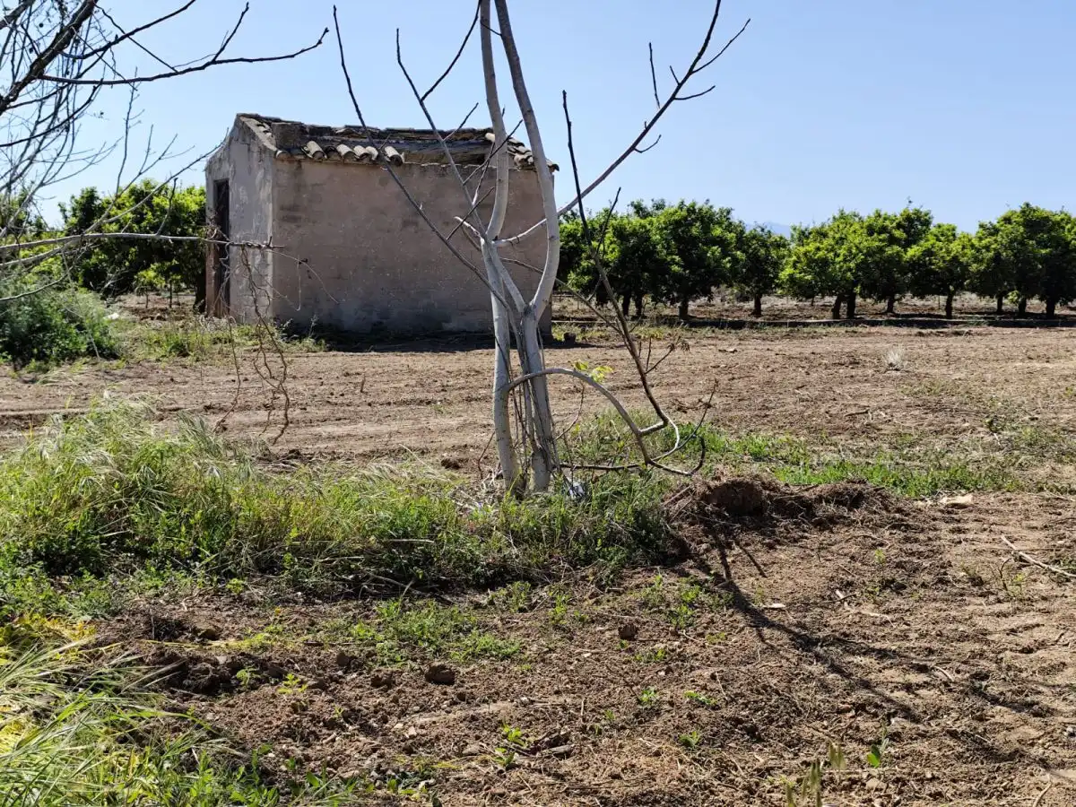 Residencial en venda en Burriana / Borriana