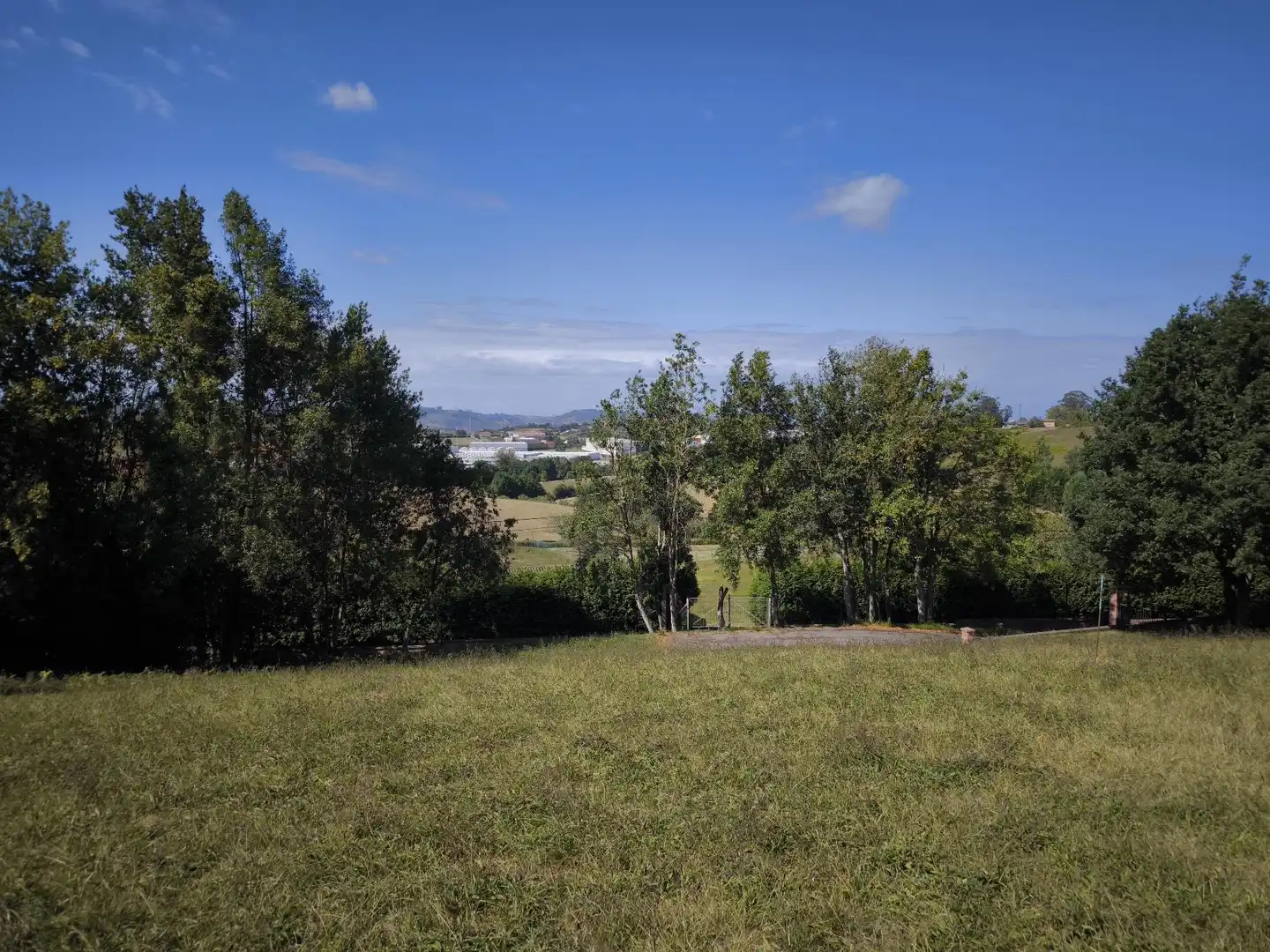 Terrenys i solars en venda a Rural