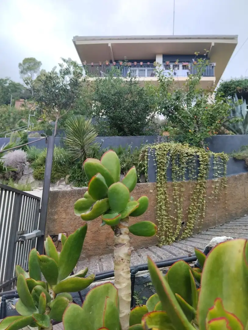 Jardí de Casa o xalet en venda en Castellar del Vallès amb Jardí privat