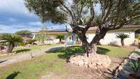 Jardí de Casa o xalet en venda en Santa Cristina d'Aro amb Aire condicionat, Calefacció i Jardí privat