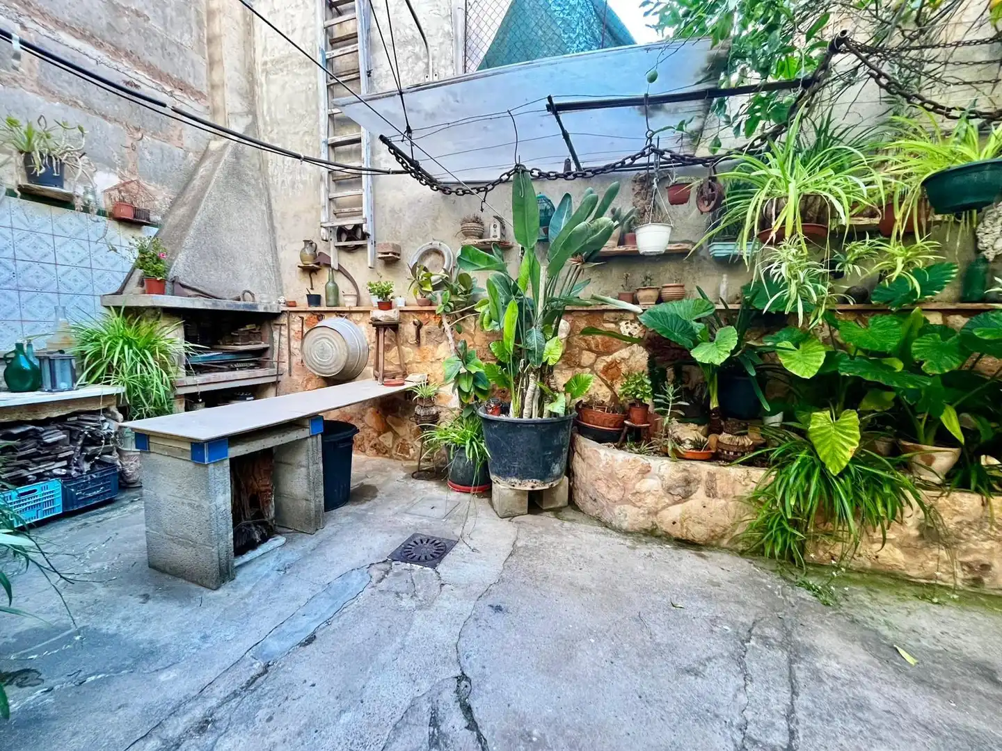Maison avec terrasse à vendre à Campos poble, imagen 3