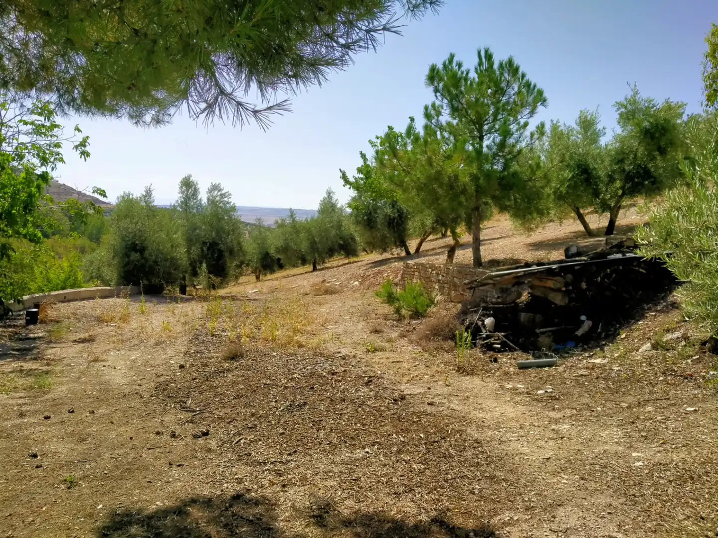 Rural land for sale in Calle Medina del Campo, imagen 6