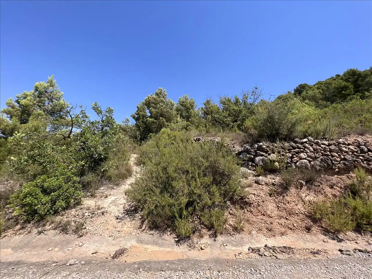 Residential land for sale in Proc. Simplificado, imagen 11