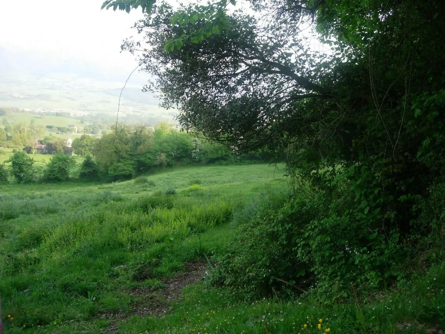 Terreni e lotti in vendita a Valle de Mena, imagen 7