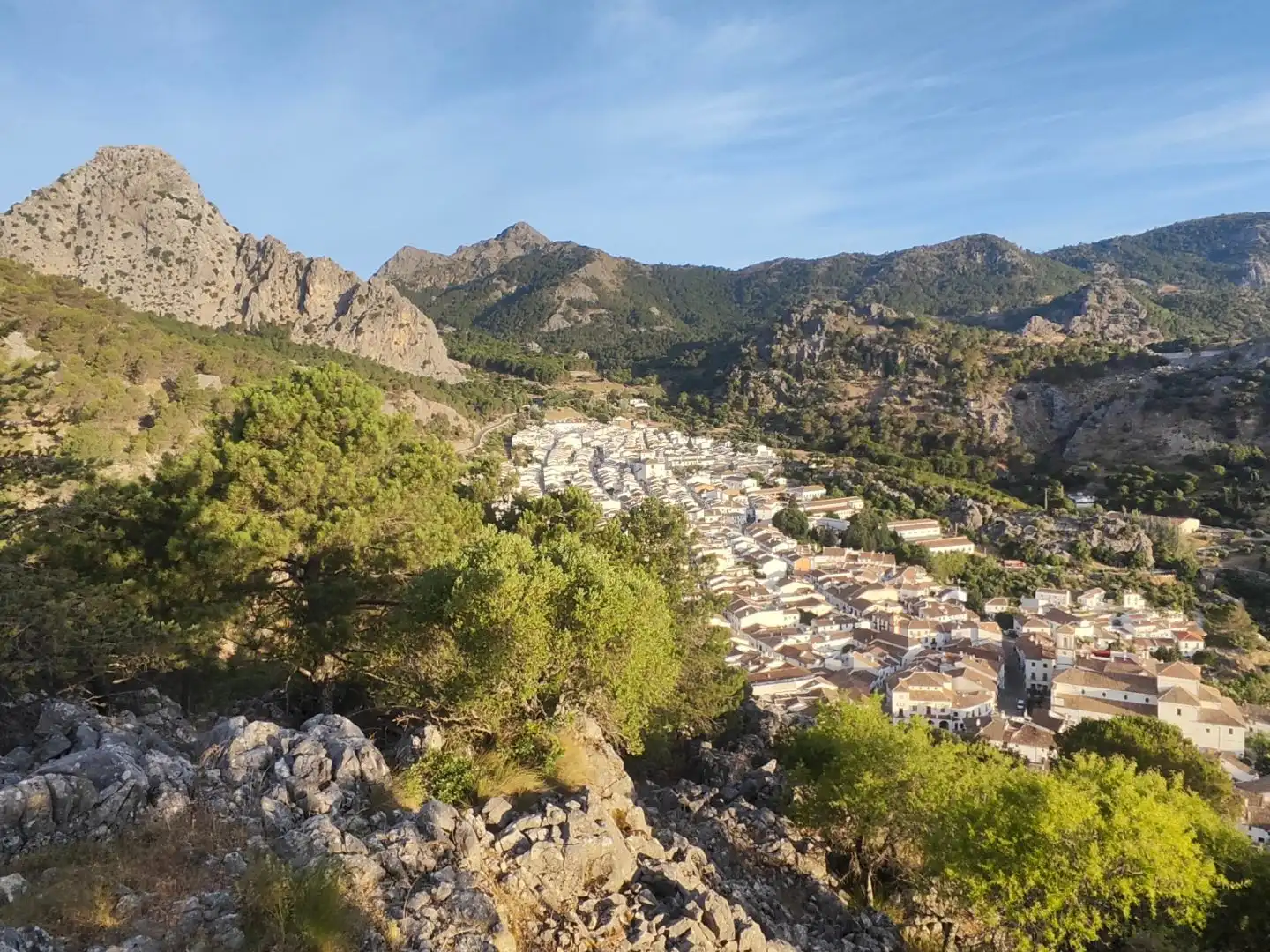 Residential land for sale in Calle las Parras 39, imagen 7