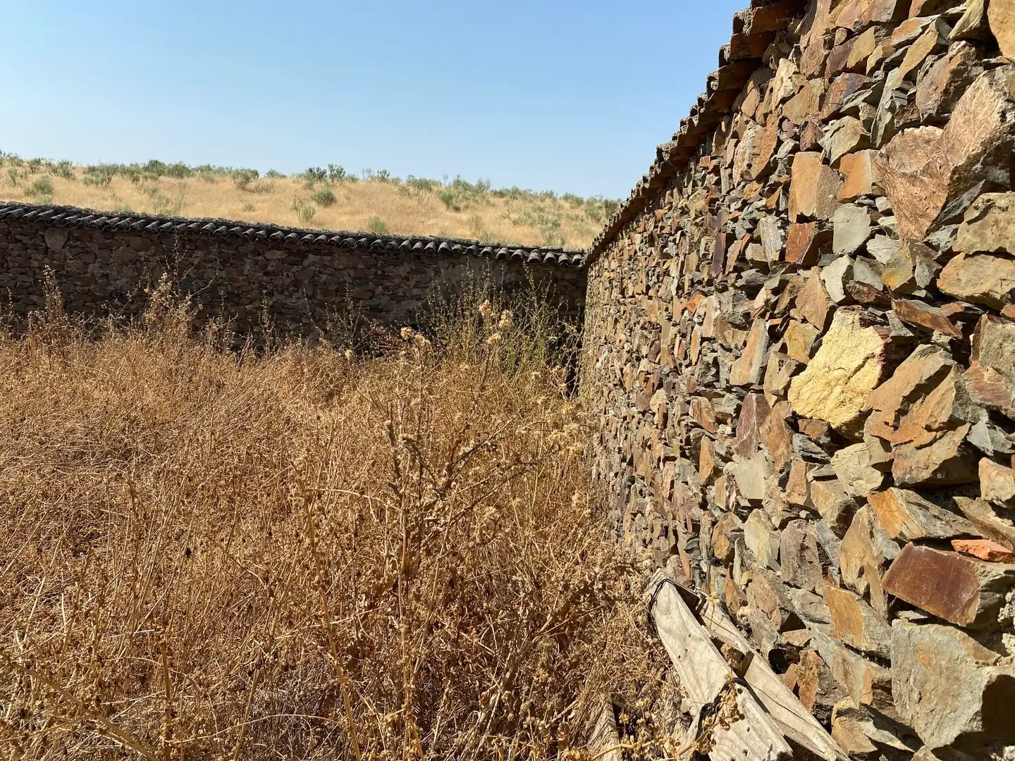 Außenansicht von Grundstücke zum Verkauf in Aldeanueva de San Bartolomé
