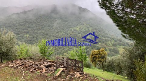 Photo 4 of Country homes for sale in Alcolea, Córdoba Capital