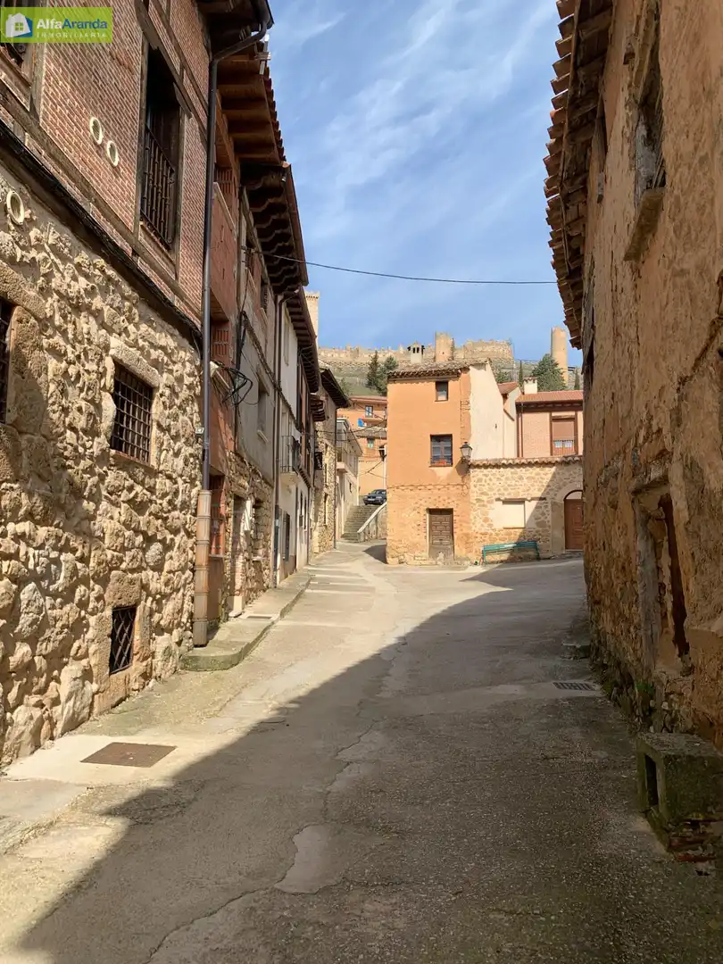 Vista exterior de Finca rústica en venta en Peñaranda de Duero