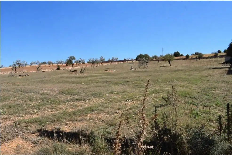 Terreny residencial en venda a Ariany, imagen 10