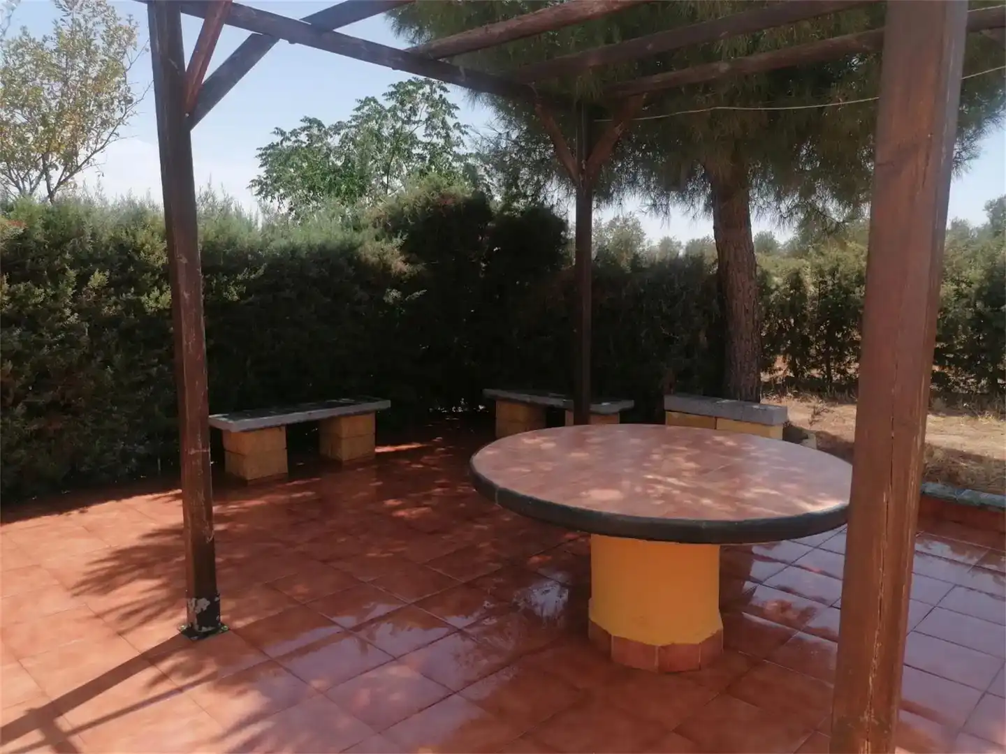 Terraza de Finca rústica en venta en Malpartida de la Serena