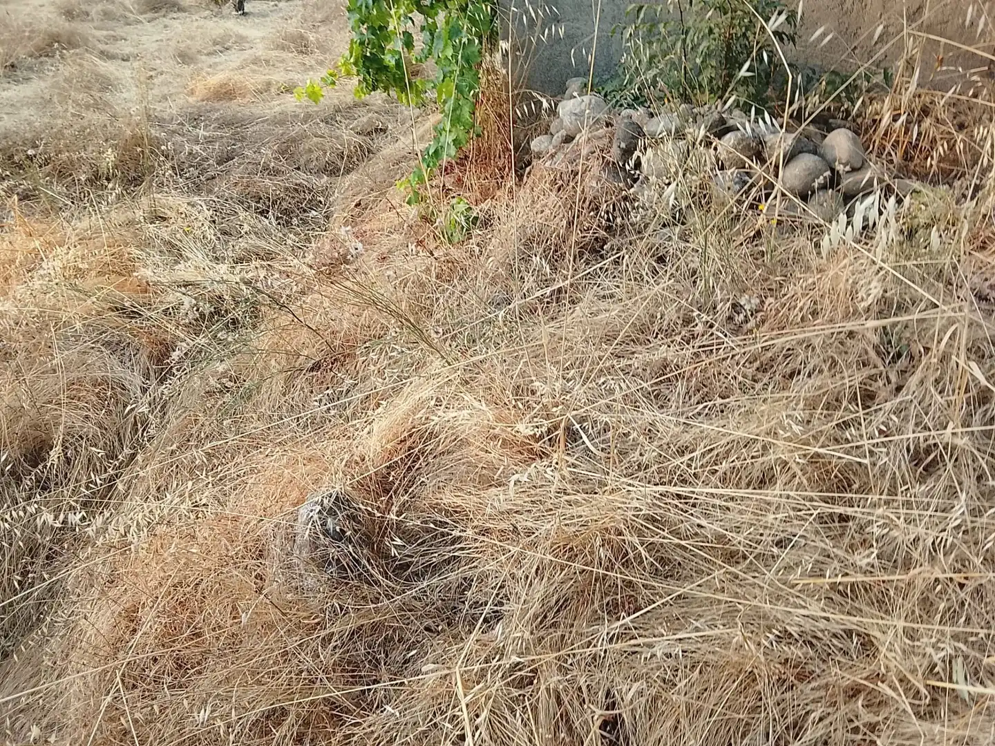 Terreni e lotti in vendita a Villanueva de la Vera, imagen 23