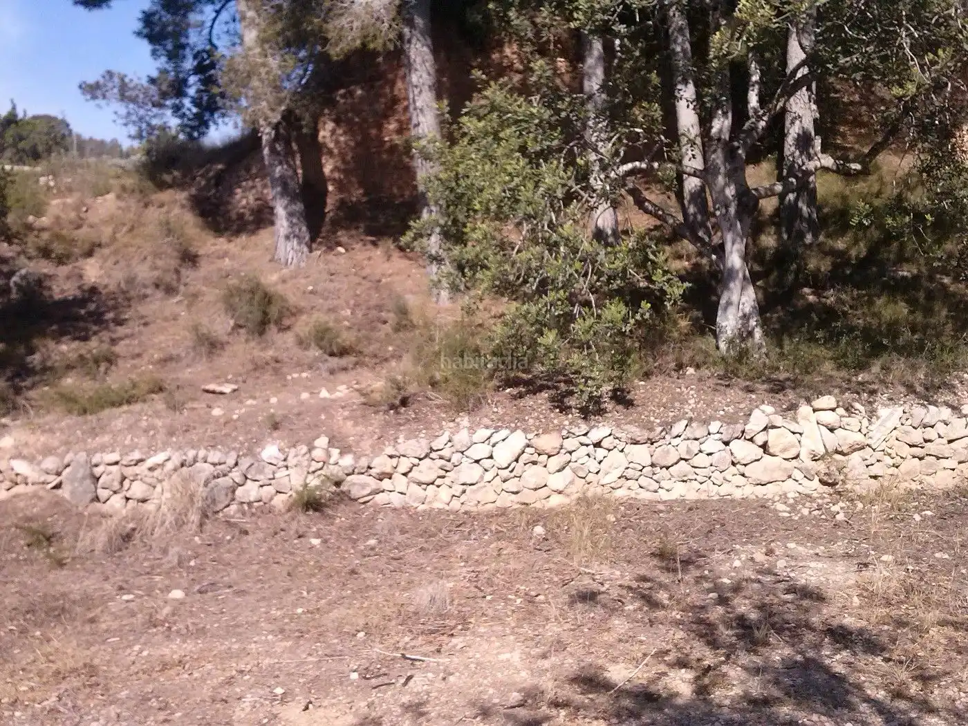 Terrain rustique à vendre à Carrer de l'Aigua 26, imagen 6