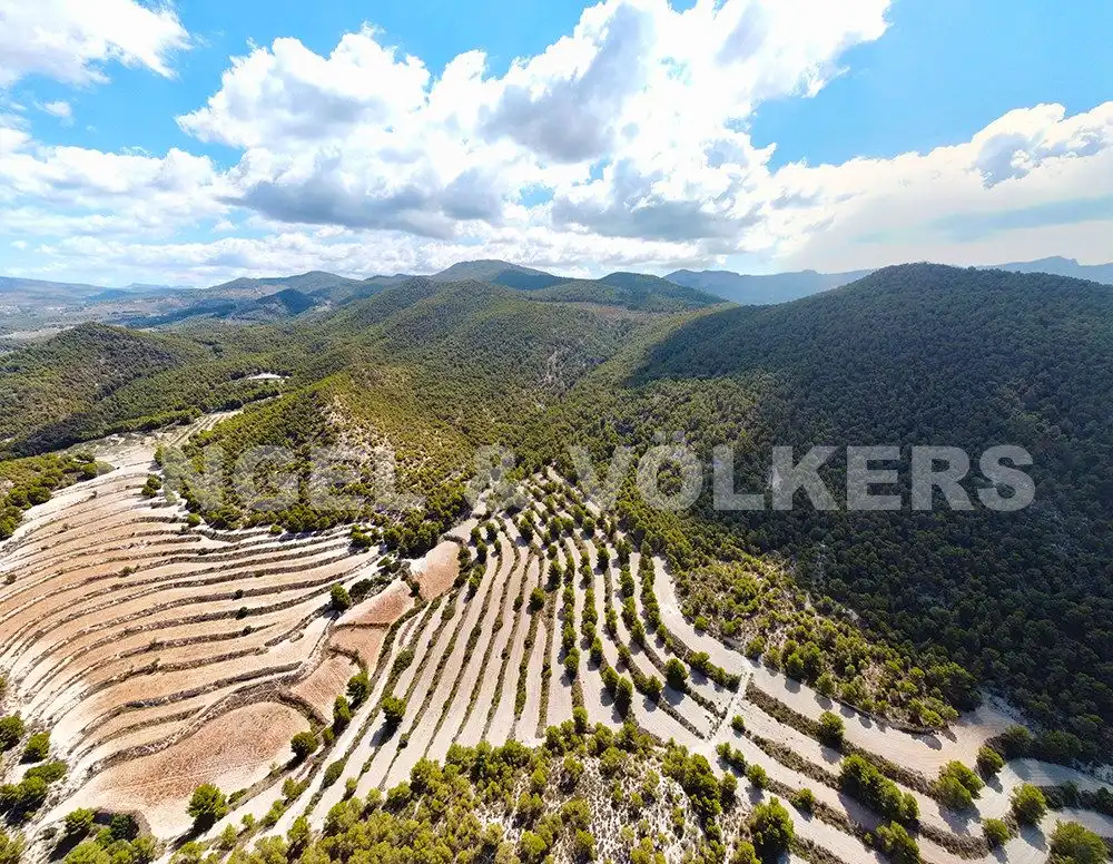 Finca rústica en venta en Jijona / Xixona