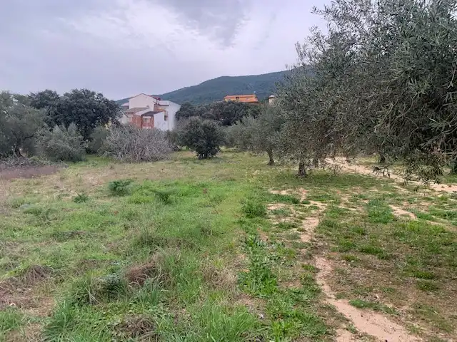 Terreni e lotti in vendita a Calle la Colmena, imagen 6