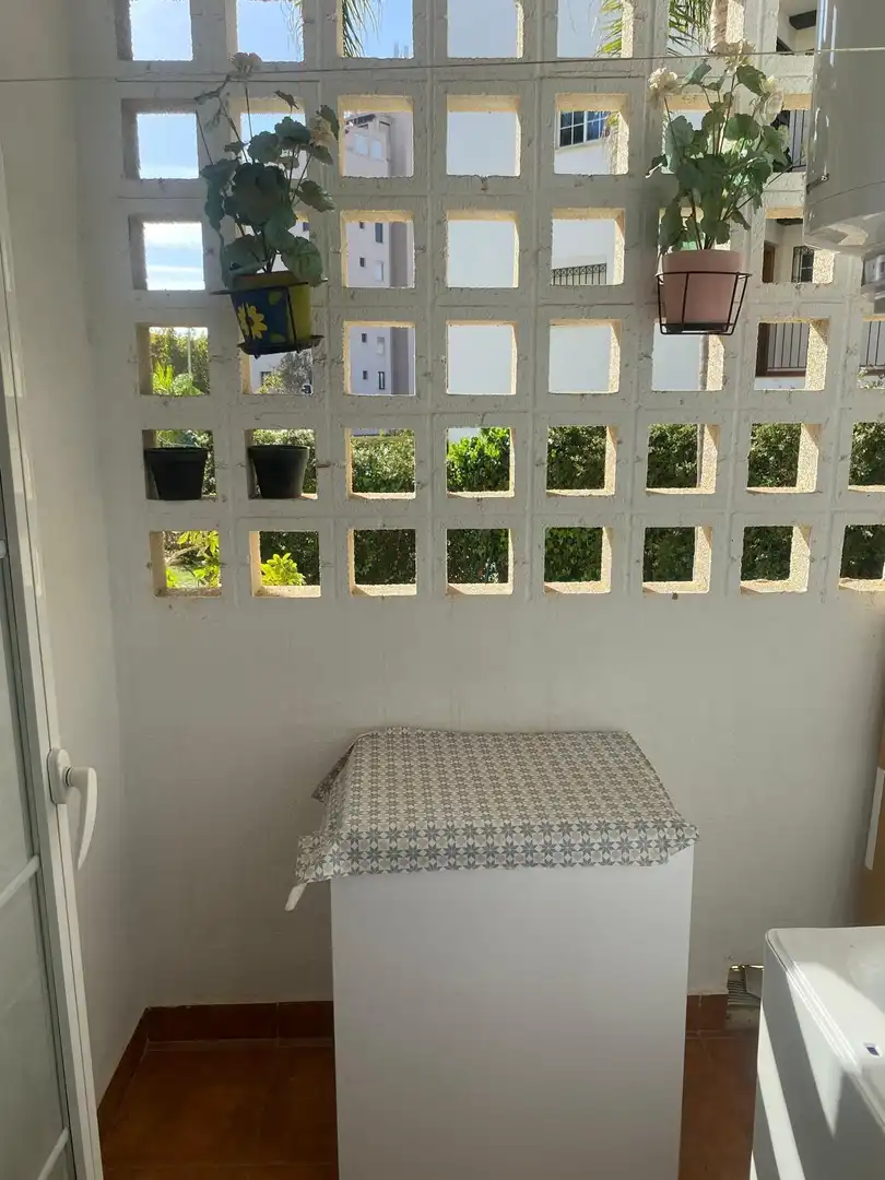 Apartment with pool for sale in Avenida CARLOTA ALEXANDRI, imagen 6