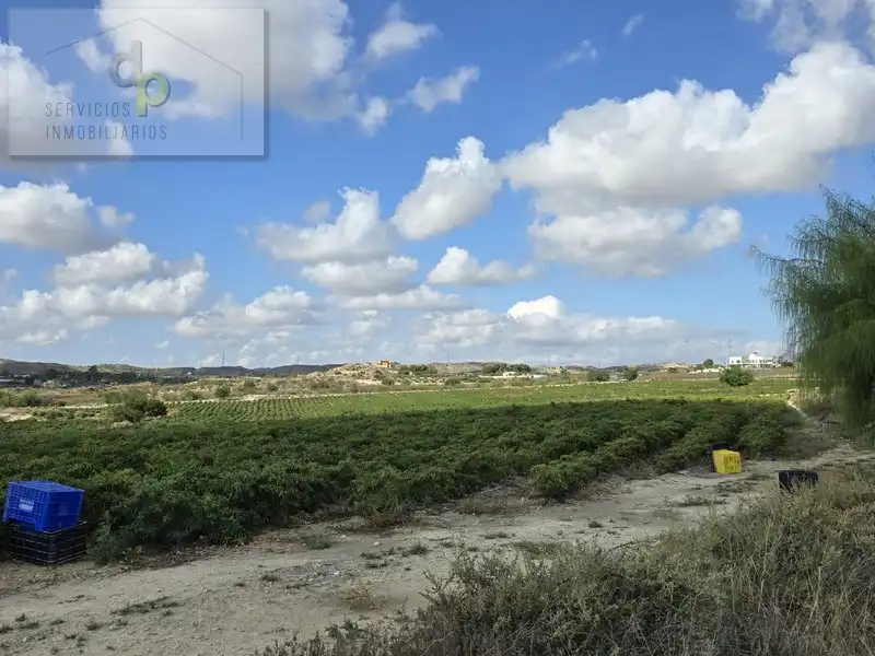 Rustikales Grundstück zum Verkauf in Camí del Barbunyo 81, imagen 6