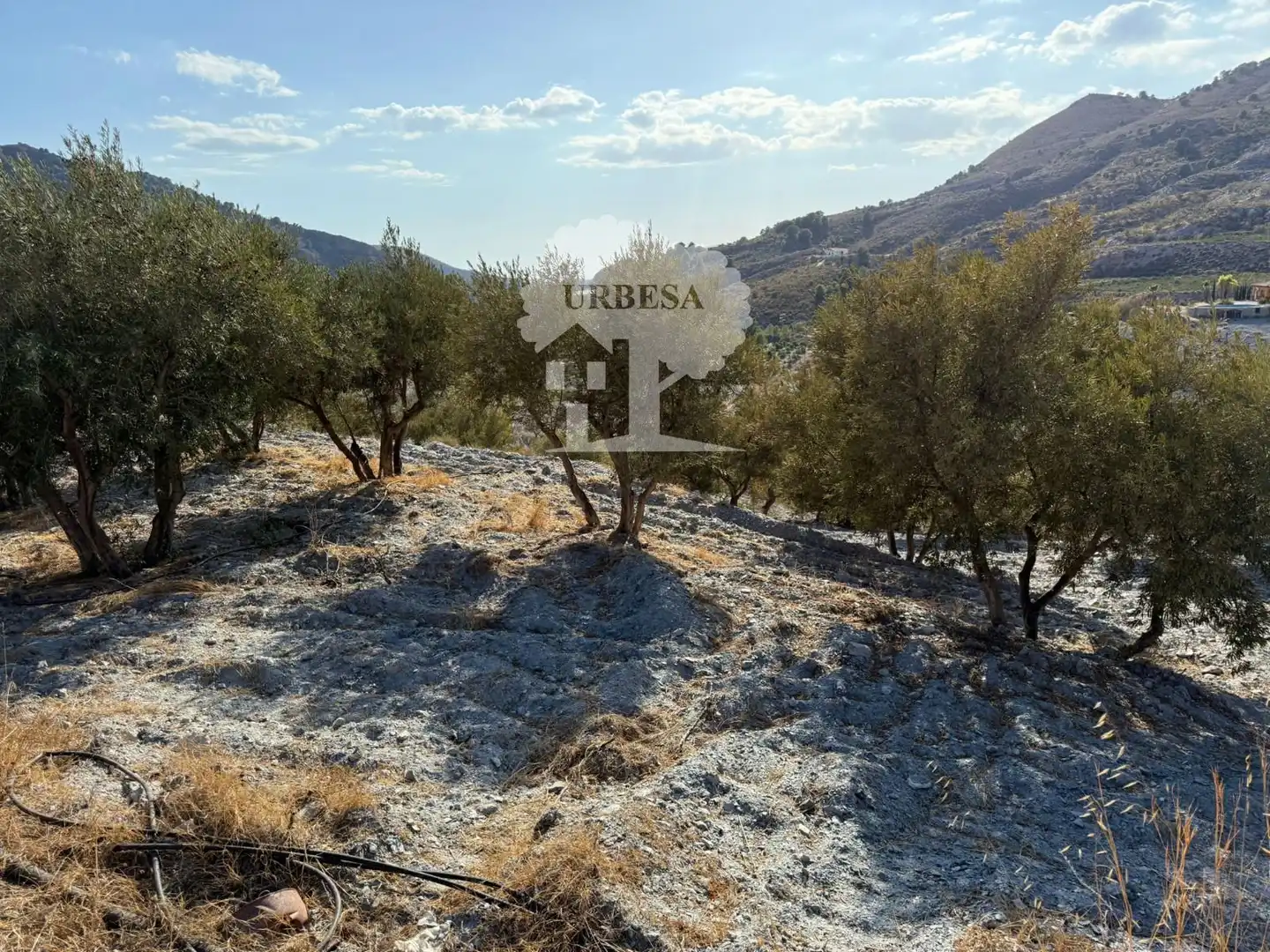 Grundstücke zum Verkauf in Vélez de Benaudalla