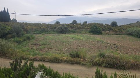 Foto 2 de Finca rústica en venta en Calle Benamocarra, 5, Periana, Málaga