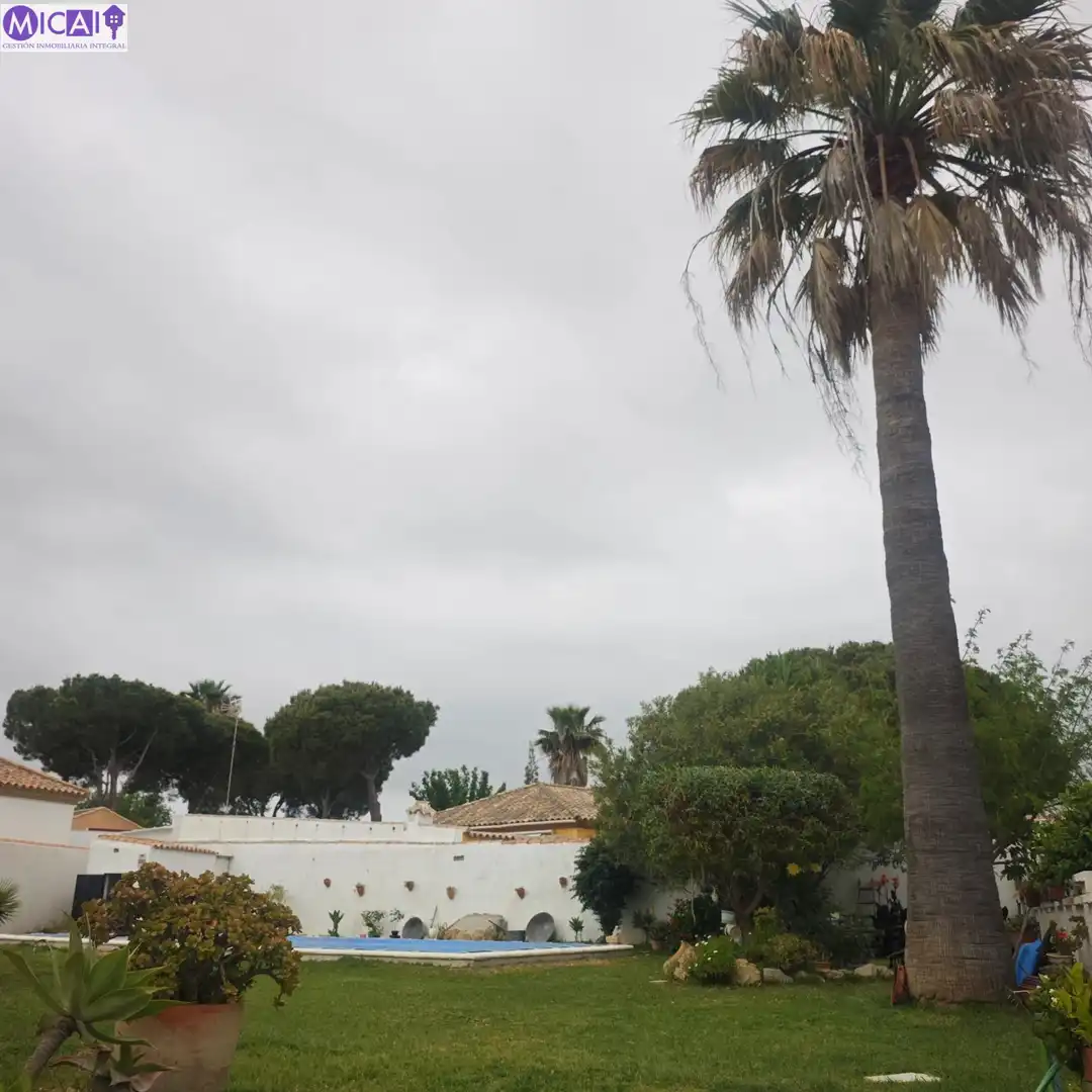 Vista exterior de Casa o chalet en venta en Chiclana de la Frontera con Jardín privado, Trastero y Piscina