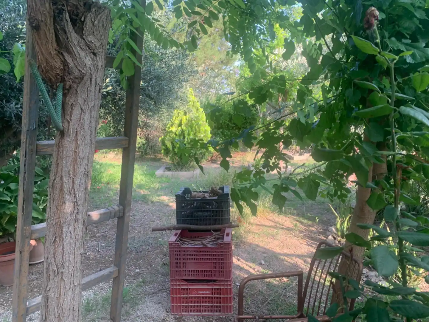 Finca rústica en venda a Alquerías