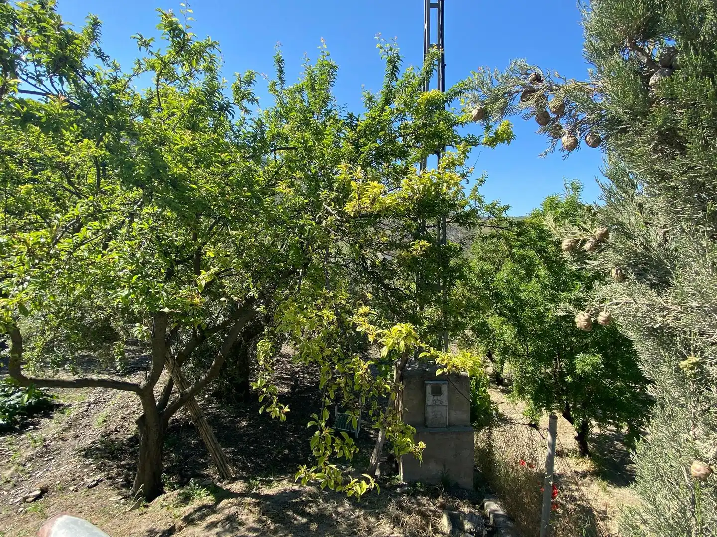 Landhaus mit Garten zum Verkauf in Monachil pueblo, imagen 13