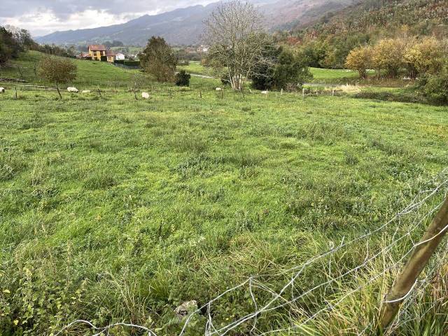 Terreno residencial en Venta en Lugar la Borbolla, 109 en Vidiago - Pendueles - Tresgrandas