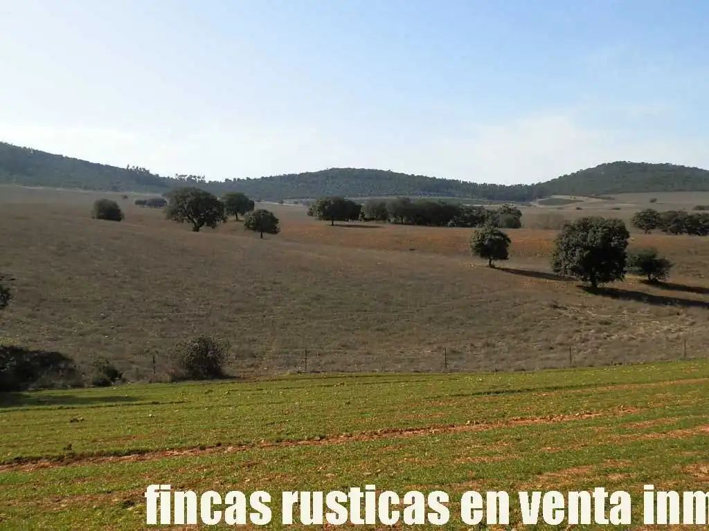 Terreny rústic en venda a Puebla de Don Rodrigo, imagen 14