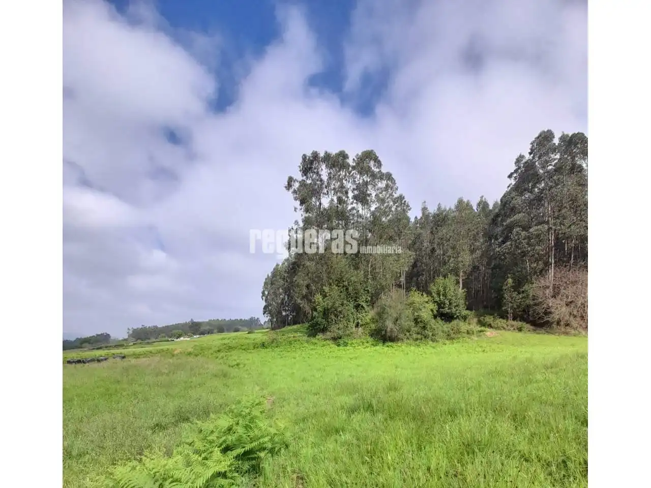 Lands and plots for sale in CASERAS, imagen 4