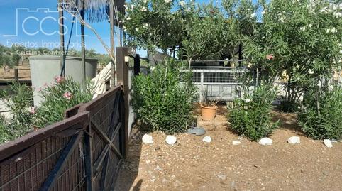 Photo 3 of Country house to rent in Almonte ciudad, Huelva