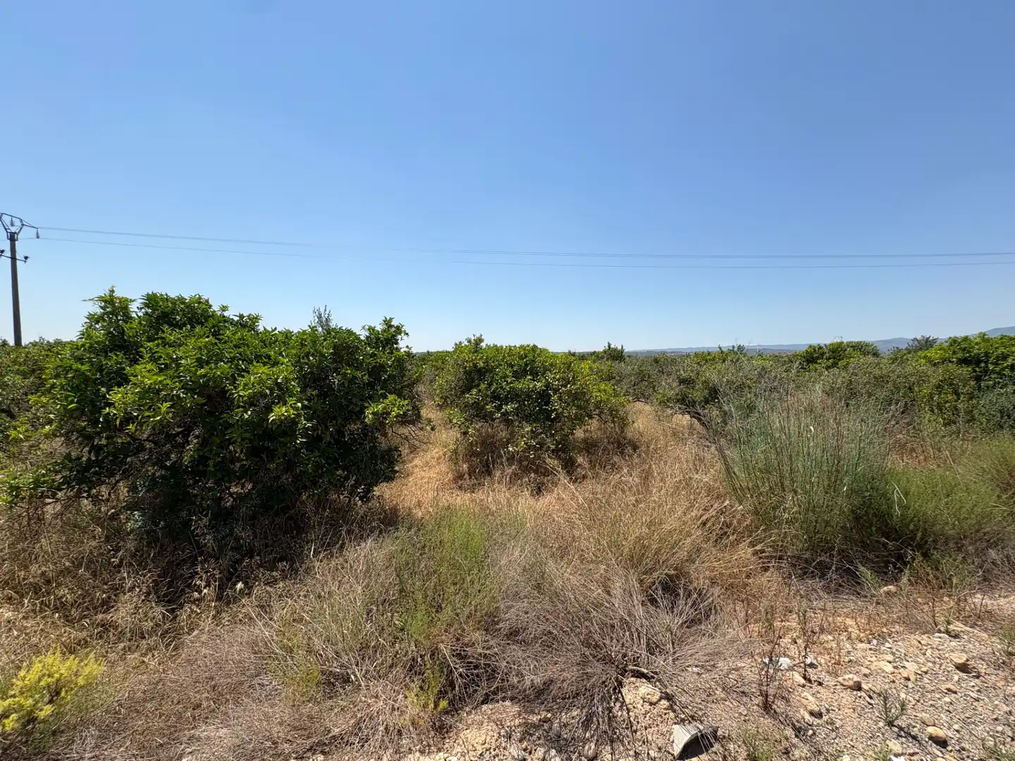 Land for sale in Vilamarxant