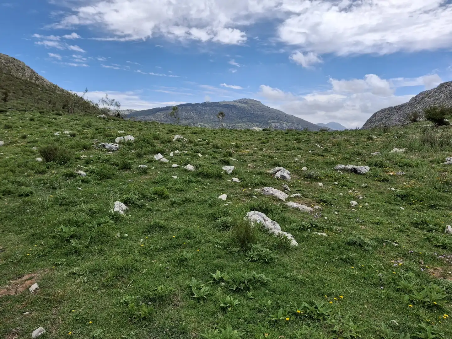 Terreni e lotti in vendita a Alfarnatejo, imagen 26