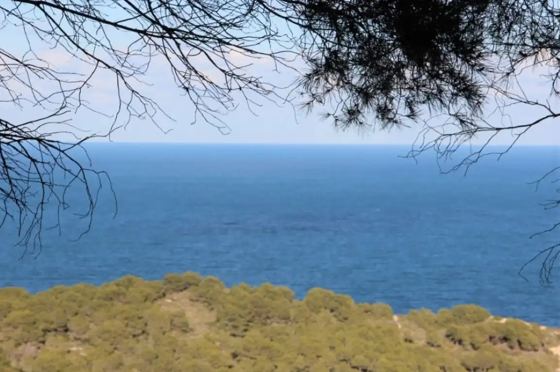 Villa avec piscine à vendre à La Granadella  - Costa Nova, imagen 3