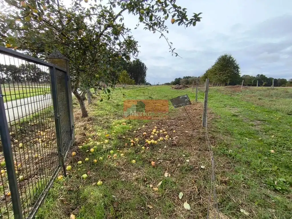 Terreni e lotti in vendita a Parroquias del Este, imagen 6