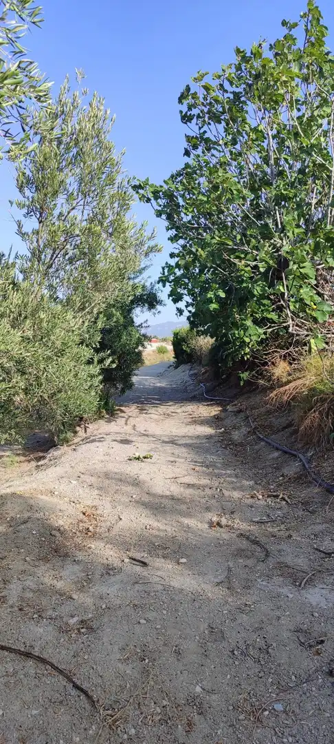Terrenys i solars en venda a Tíjola, imagen 15