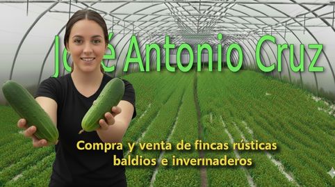 VENTA DE INVERNADERO DE 32000M EN TIERRAS DE ALMERÍA, (SE ENTREGA C9N LA COSECHA), imatge 2