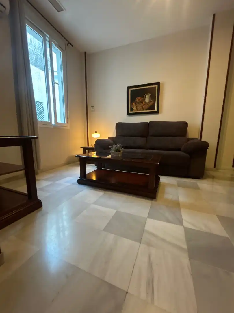 Sala de estar de Apartamento de alquiler en  Sevilla Capital con Aire acondicionado, Calefacción y Amueblado