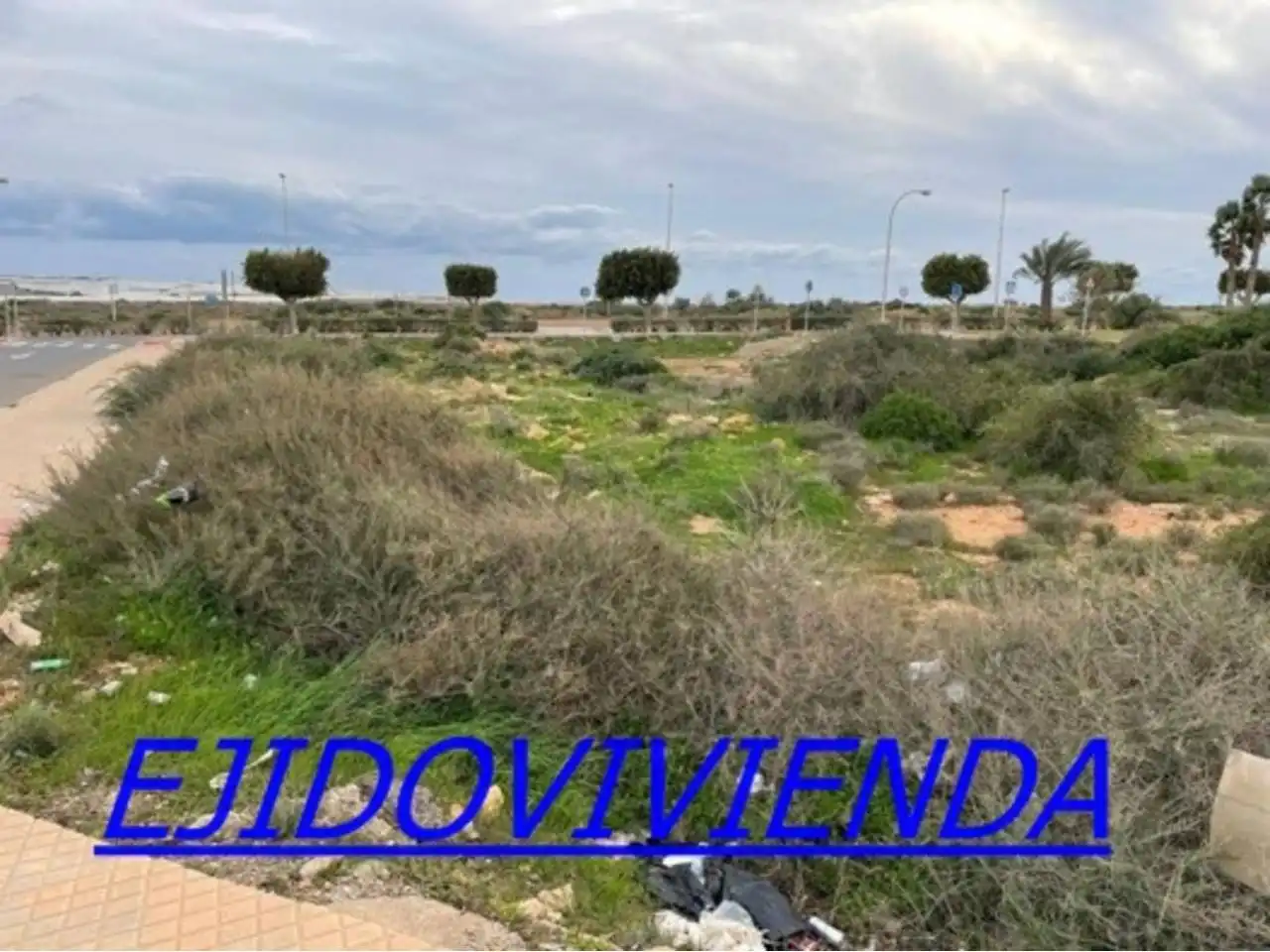 Lands and plots for sale in El Ejido Ciudad, imagen 3
