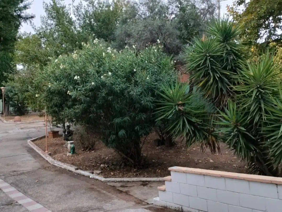 Jardín de Casa o chalet en venta en Torrero-La Paz