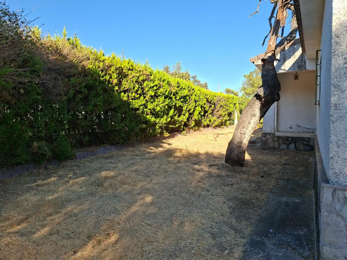 Jardín de Casa o chalet en venta en Guillena con Aire acondicionado, Jardín privado y Terraza