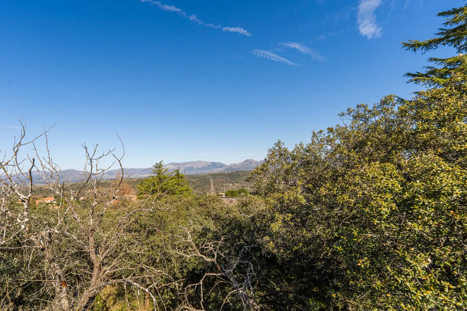 Residencial en venta en Venturada